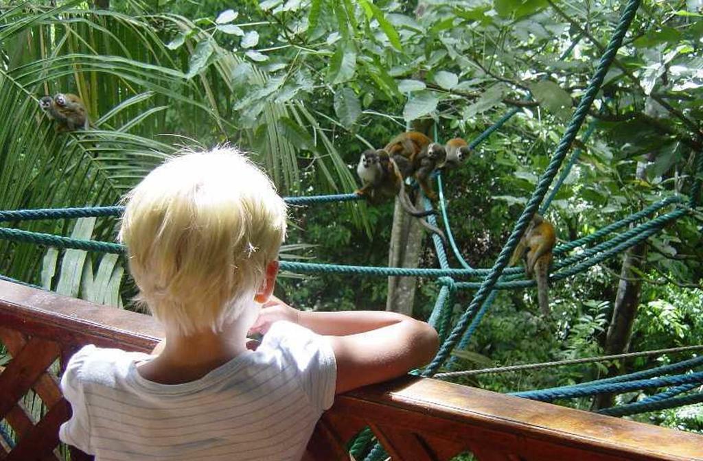 Jungle Villa มานูเอล อันโตนิโอ ภายนอก รูปภาพ