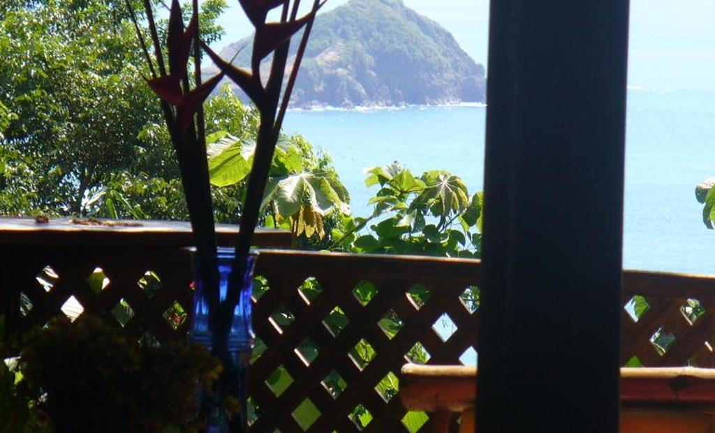 Jungle Villa มานูเอล อันโตนิโอ ภายนอก รูปภาพ