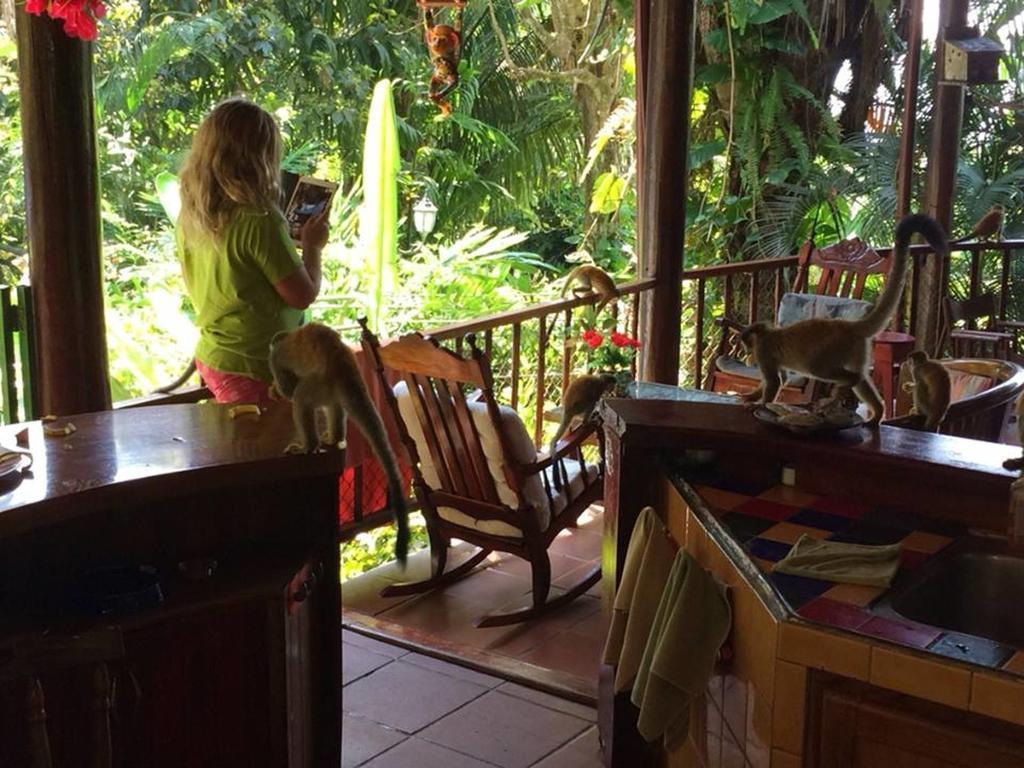 Jungle Villa มานูเอล อันโตนิโอ ภายนอก รูปภาพ