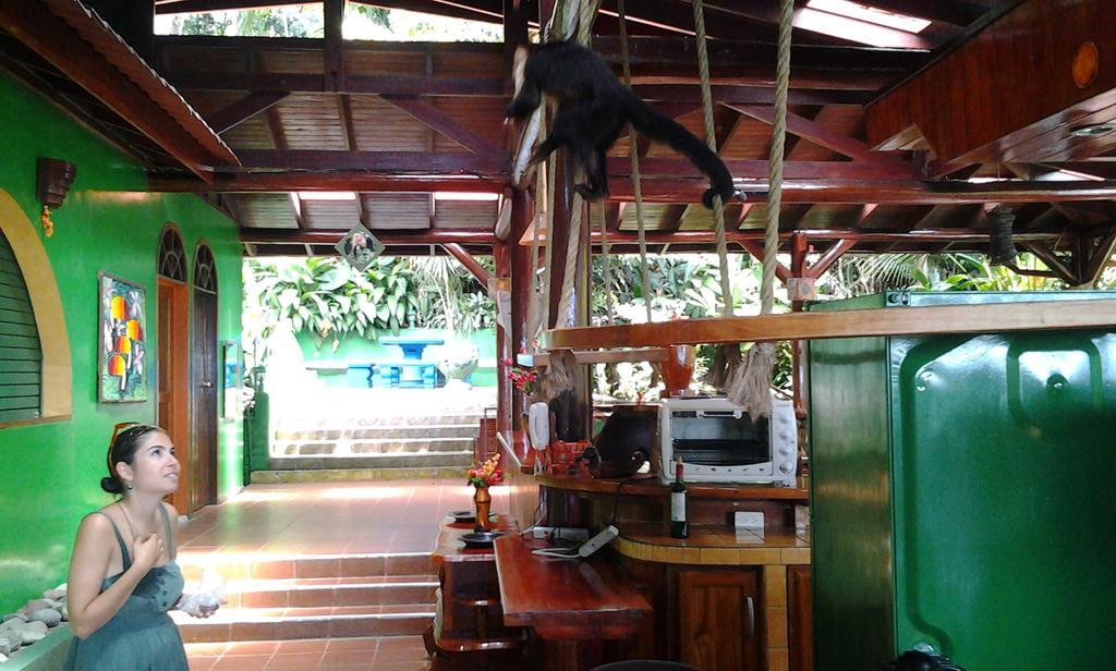 Jungle Villa มานูเอล อันโตนิโอ ภายนอก รูปภาพ