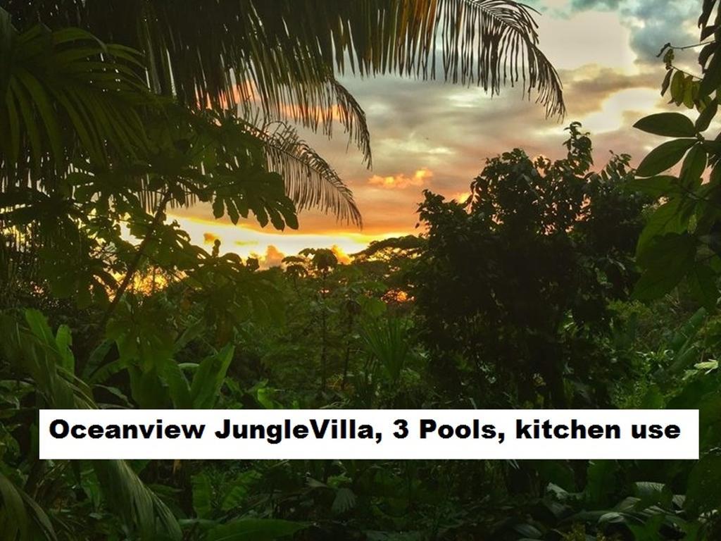 Jungle Villa มานูเอล อันโตนิโอ ภายนอก รูปภาพ