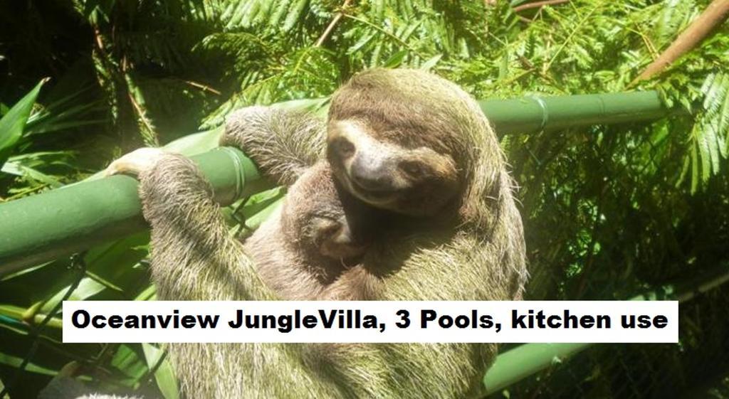 Jungle Villa มานูเอล อันโตนิโอ ภายนอก รูปภาพ